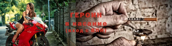 прущие грибы Арсеньев