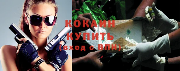прущие грибы Арсеньев