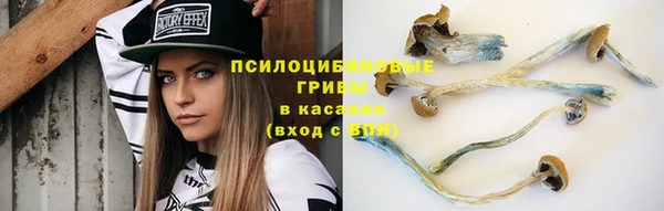 стафф Аркадак