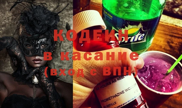 прущие грибы Арсеньев