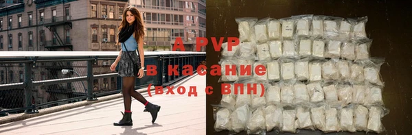 стафф Аркадак
