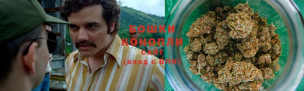 прущие грибы Арсеньев